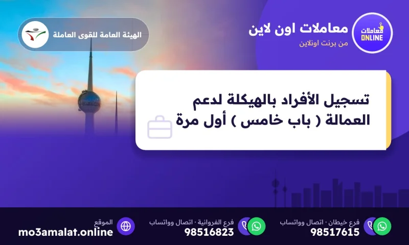 تسجيل الأفراد بالهيكلة لدعم العمالة ( باب خامس ) أول مرة
