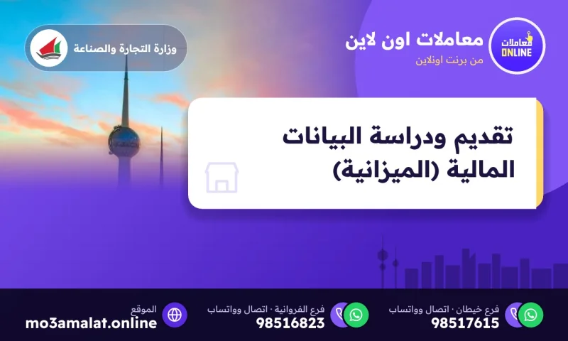 تقديم ودراسة البيانات المالية (الميزانية)