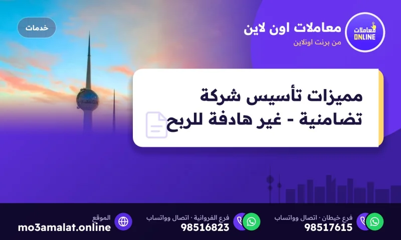 مميزات تأسيس شركة تضامنية - غير هادفة للربح