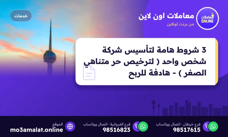 3 شروط هامة لتأسيس شركة شخص واحد ( لترخيص حر متناهي الصغر ) - هادفة للربح