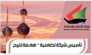 تأسيس شركة تضامنية - هادفة للربح