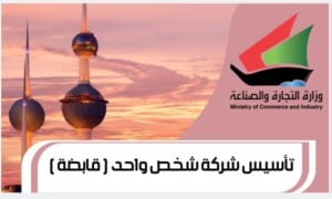 تأسيس شركة شخص واحد ( قابضة )