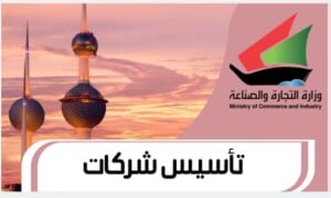 تأسيس شركات