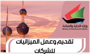 تقديم وعمل الميزانيات للشركات