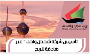 تأسيس شركة شخص واحد - غير هادفة للربح