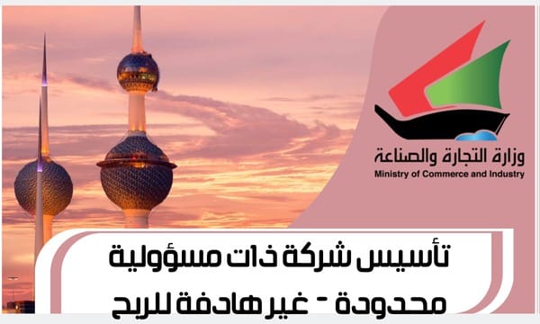 تأسيس شركة ذات مسؤولية محدودة - غير هادفة للربح