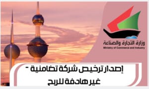 إصدار ترخيص شركة تضامنية - غير هادفة للربح
