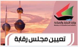 تعيين مجلس رقابة