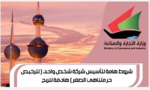 تأسيس شركة شخص واحد ( ترخيص حر متناهي الصغر ) هادفة للربح