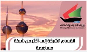 انقسام الشركة إلى أكثر من شركة مساهمة