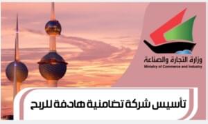 تأسيس شركة تضامنية هادفة للربح