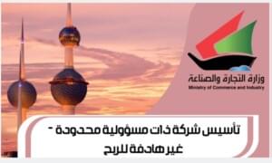 تأسيس شركة ذات مسؤولية محدودة غير هادفة للربح