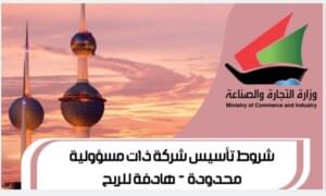 شروط تأسيس شركة ذات مسؤولية محدودة هادفة للربح