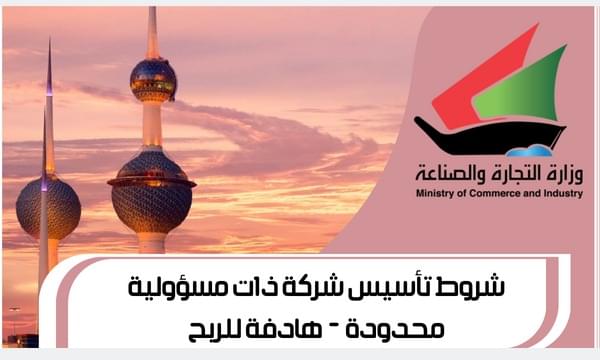 شروط تأسيس شركة ذات مسؤولية محدودة هادفة للربح