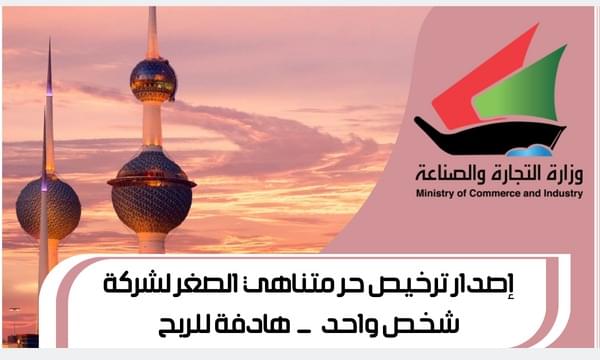 إصدار ترخيص حر متناهي الصغر لشركة شخص واحد هادفة للربح