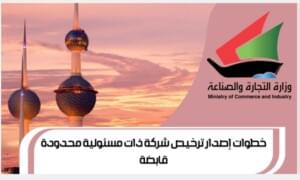 إصدار ترخيص شركة ذات مسئولية محدودة قابضة