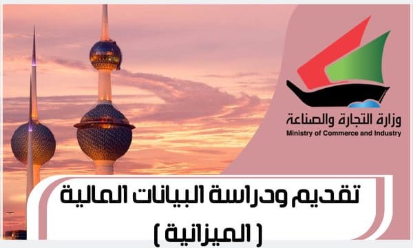 تقديم ودراسة البيانات المالية الميزانية
